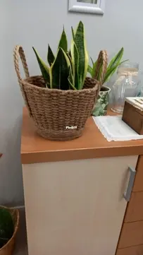Basket