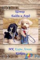 Kirkira - Kira Lenik Кира Леник - Puppies Buddy and Lord - Russian
