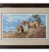 Power of the Serengeti