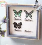 Collection de papillons from Encadrement pour nous les brodeuses