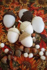 Acorns