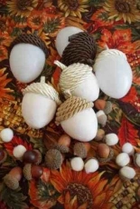 Acorns