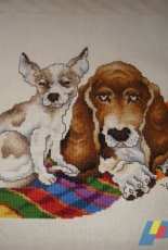 Perros sobre una manta