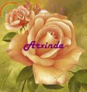 Arxinda Esplendor Rosa