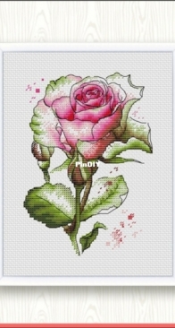 Watercolor Rose by Lyubov Vodenikova