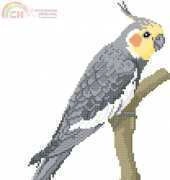 Allura Design - Cockatiel