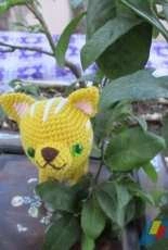Yellow Kitten