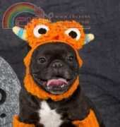 Coat & Clarks - Red Heart LW3267  Dog Monster Costume by Linda Cyr
