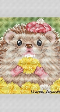 Flower Hedgehog by Anastasia Usova