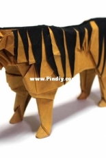 Satoshi Kamiya 2016/06 - Tiger