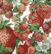 Strawberry Fields Pillow by Donna Vermillion Giampa from Just Cross Stitch March - April 2001 XSD