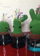 Baby cactus