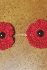 Poppies