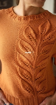 Asclepias Sweater by Berroco Design Team - Free