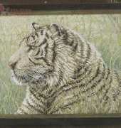 Bucilla 43736 - White Tigre