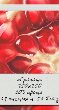 Siberia Stitch - Pomegranate