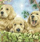 Anchor PCE 933 Puppies