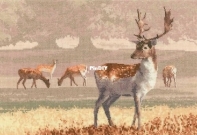 Heritage Crafts - The John Clayton Collection JCDK1212 Deer Park