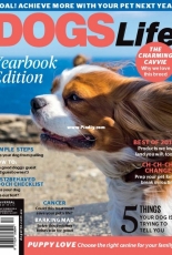 Dogs Life - August 2018