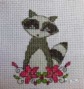 Raccoon