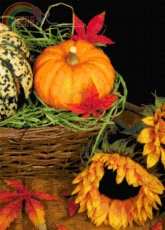 Better Cross Stitch - Autumn basket