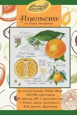 Botany Series - Orange by Alla Erokhova PCS