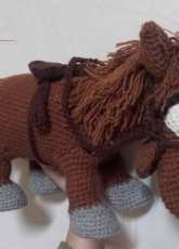 horse