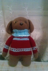 dog in a sweater