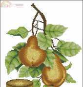 Cuadros 32 - Pear