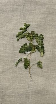 Marie Barber, Catnip