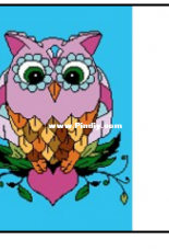 10K - Owl Blanket