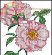 Anchor AD 167 Peony XSD