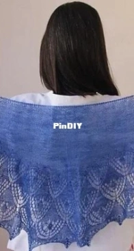 Arushi Shawl by Anjali