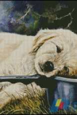 CHIMERA - Umayalsya (Tired Out)