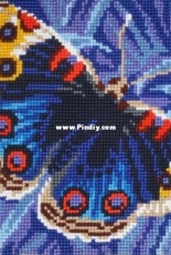 Collection DArt CDA-5081 Butterfly Cushion