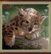 Zolotoe Runo ZR DZH-009 Lynx Cub