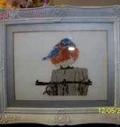 Mad Blue Bird
