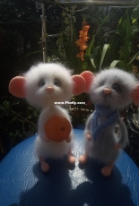 Mouse 1