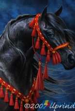 HAED HAELAP 2801 Wind of Heaven by Prindle
