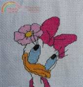 daisy