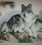 Charivna  Mit A-149 Wolves