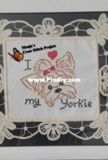 yorkie