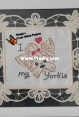 yorkie