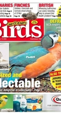 Cage and Aviary Birds - 18 February 2026