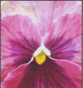 Celtic Rose Needlecraft - Pansy Face
