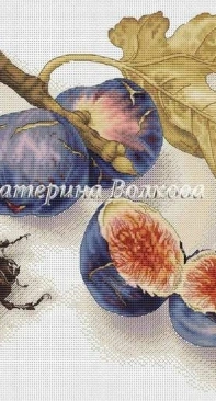 Still Life by Ekaterina Volkova / Екатерина Волкова