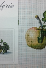 Luca-s "apples"