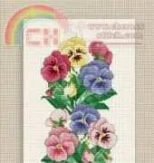 Ellen Maurer Stroh EMS 003 Pansy Border XSD
