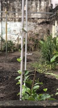 How did I build a garden all by myself - 4