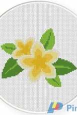 Daily Cross Stitch - Fragipani Flower